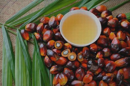 Las mejores aceites aceite de palma