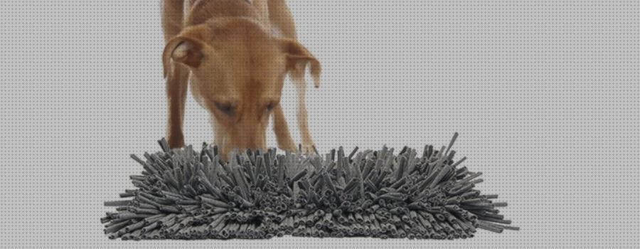 Review de alfombra olfato perro