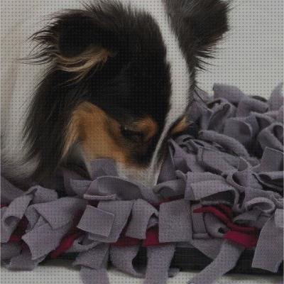 Las mejores marcas de alfombras alfombra olfato perro