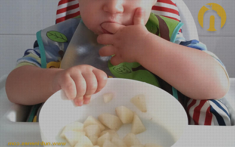 Las mejores led baby led weaning