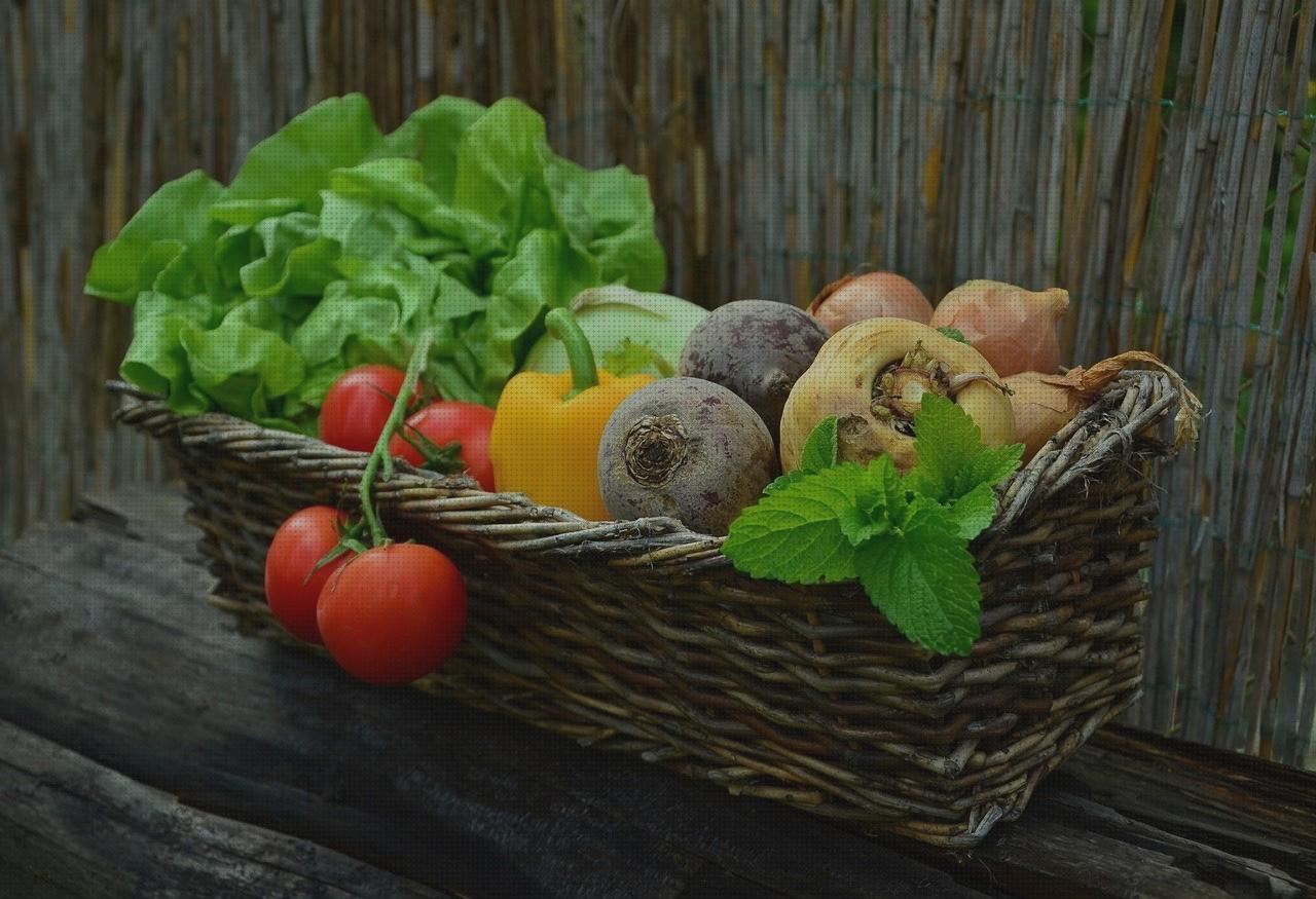 ¿Dónde poder comprar basket?