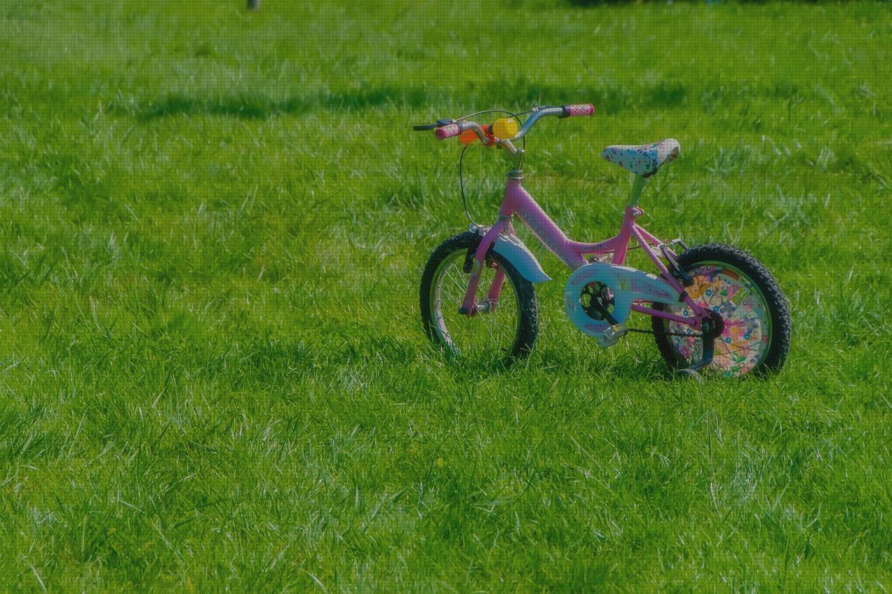 Las mejores marcas de coche niños bicicletas para niños