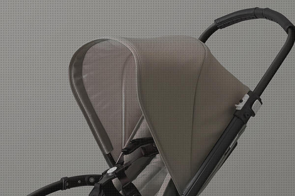 Review de bugaboo bee 5