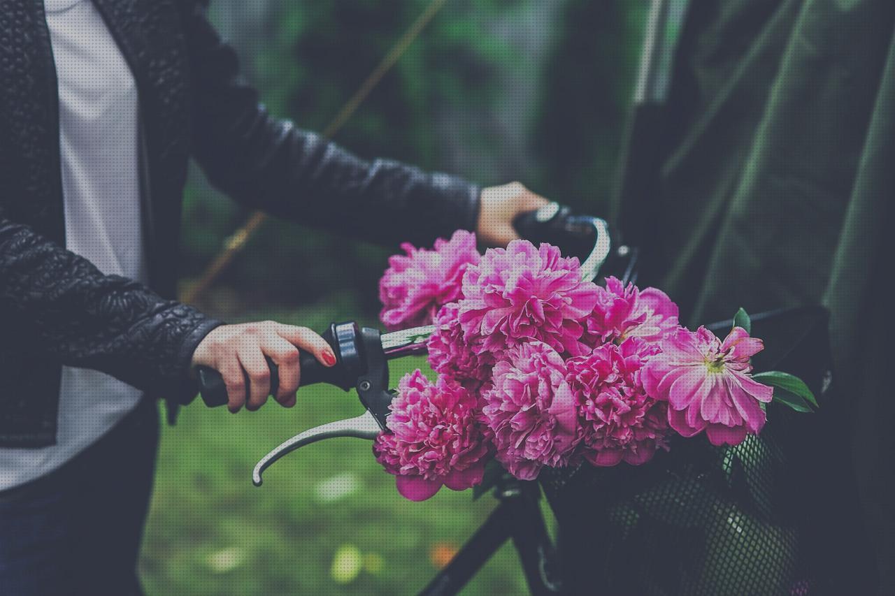 ¿Dónde poder comprar cestas cesta bicicleta niña?