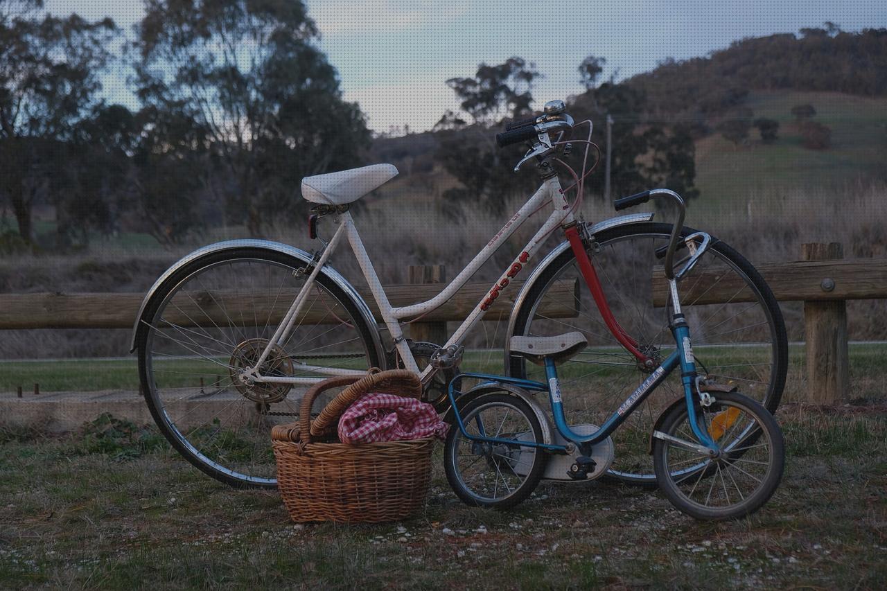 Las mejores cestas cesta bicicleta niña