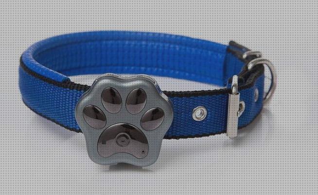 Las mejores marcas de perros collar localizador perros