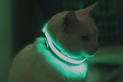 Las mejores collares led collar perro led