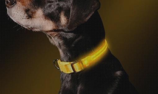 Review de collar perro led