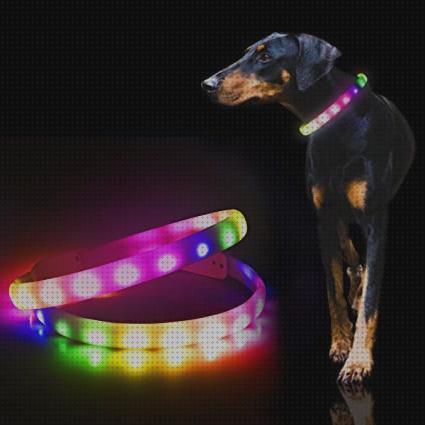 Las mejores marcas de collares led collar perro led