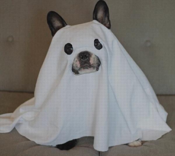 Chollos Disfraz Halloween Perro Pequeño durante BlackFriday