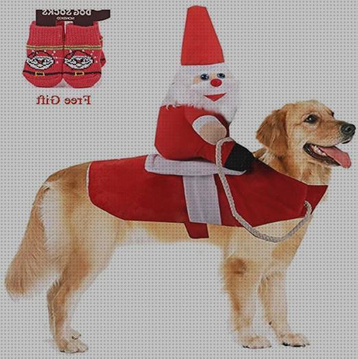 Las mejores perros disfraces disfraz perro navidad