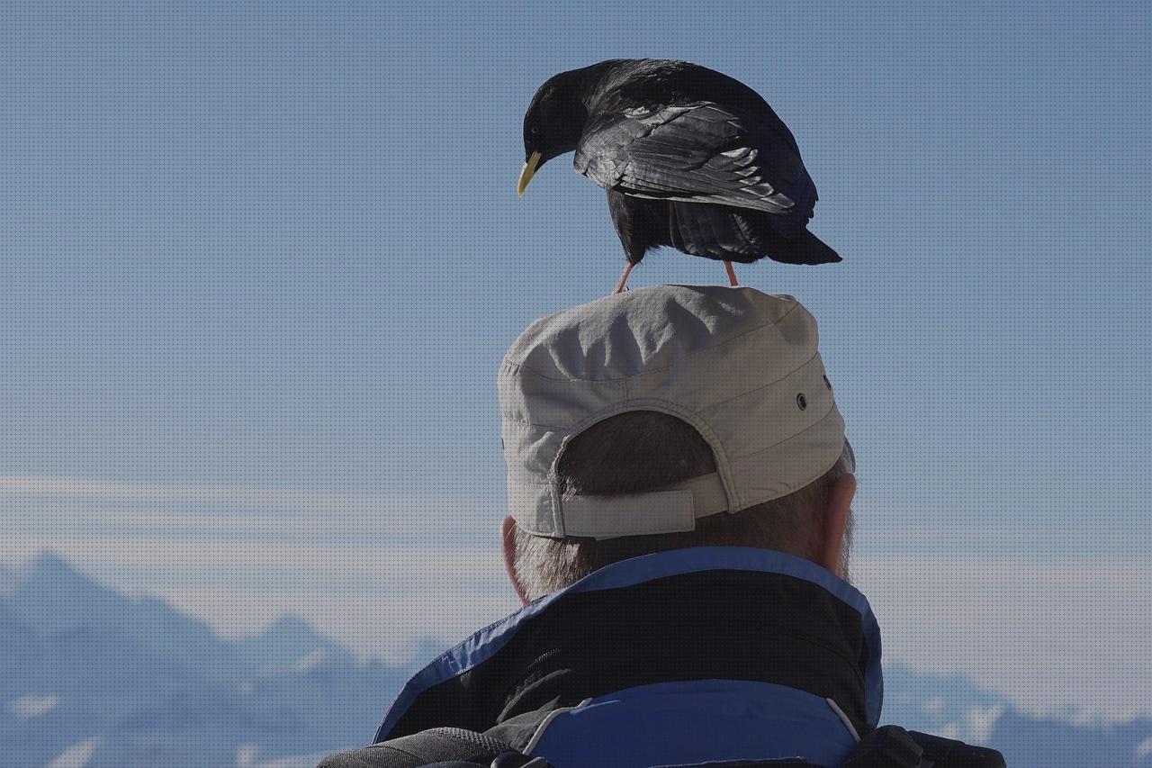 Review de gorros de montaña