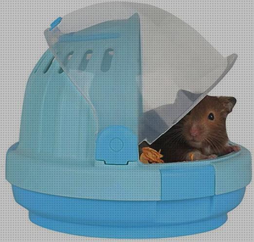 Análisis de los 7 mejores hamster accesorios