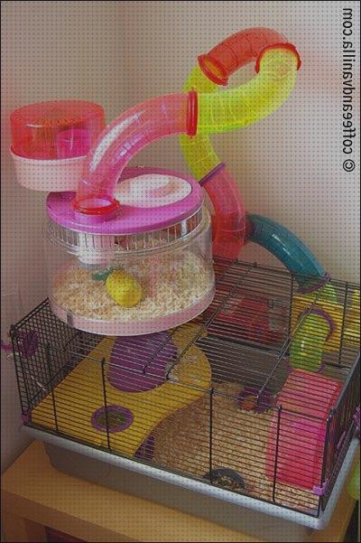 Review de hamster accesorios