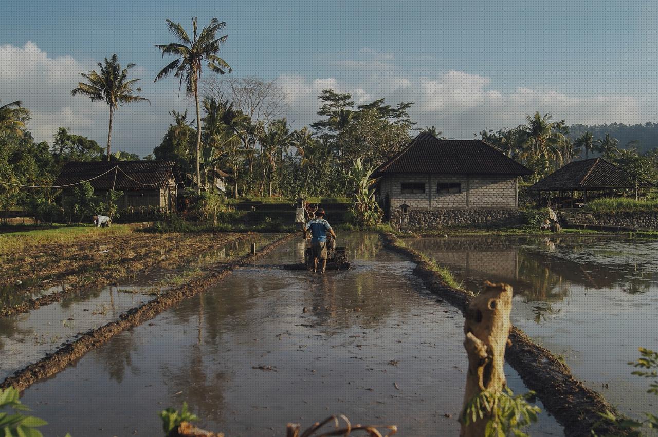 Las mejores marcas de bucal irrigador bucal waterpik