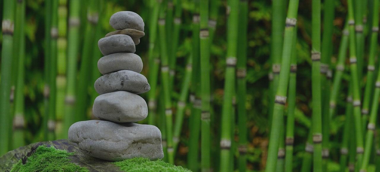 Análisis de los 20 mejores jardines zen para comprar