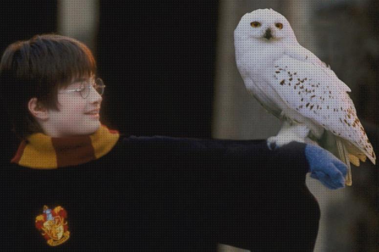 Promociones Lechuza Harry Potter durante el Blackfriday