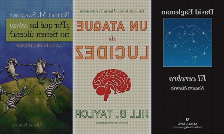 Análisis de los 10 mejores libros de neurociencias del mundo