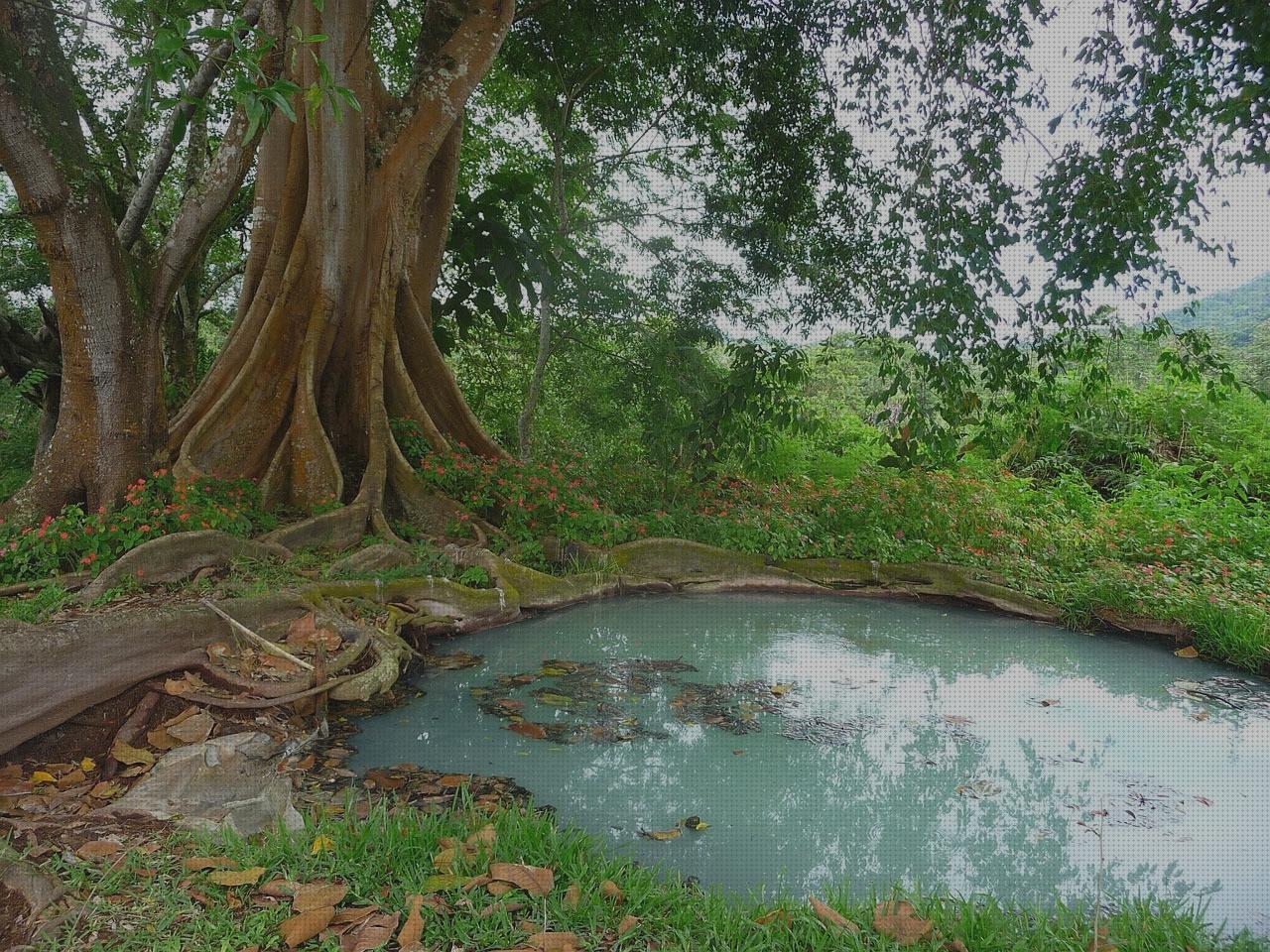 Opiniones de los 9 mejores Los Baños Del Pozos Azules