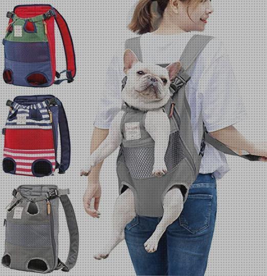 Review de mochilas perros