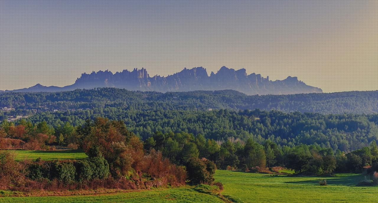 Las mejores marcas de montserrat caballo