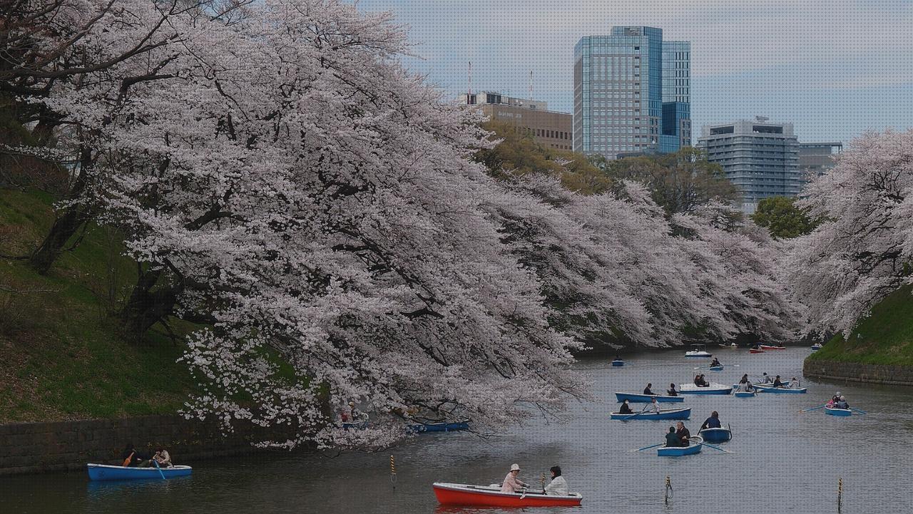 ¿Dónde poder comprar primavera en tokio?