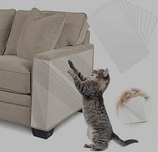 Opiniones de los 10 mejores Protectores Sofas Gatos Arañazo