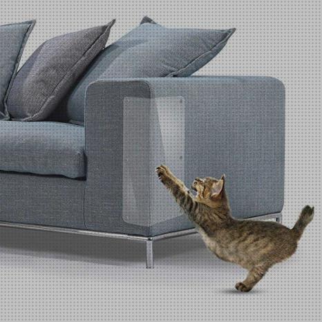 Las mejores gatos protector sofa gatos arañazo