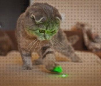 Las mejores gatos puntero laser gatos