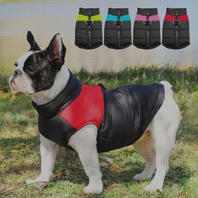 Review de ropa perro mediano