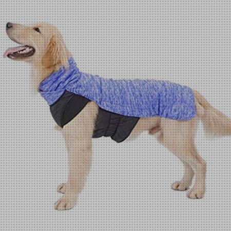 ¿Dónde poder comprar ropas ropa perro pequeño invierno?