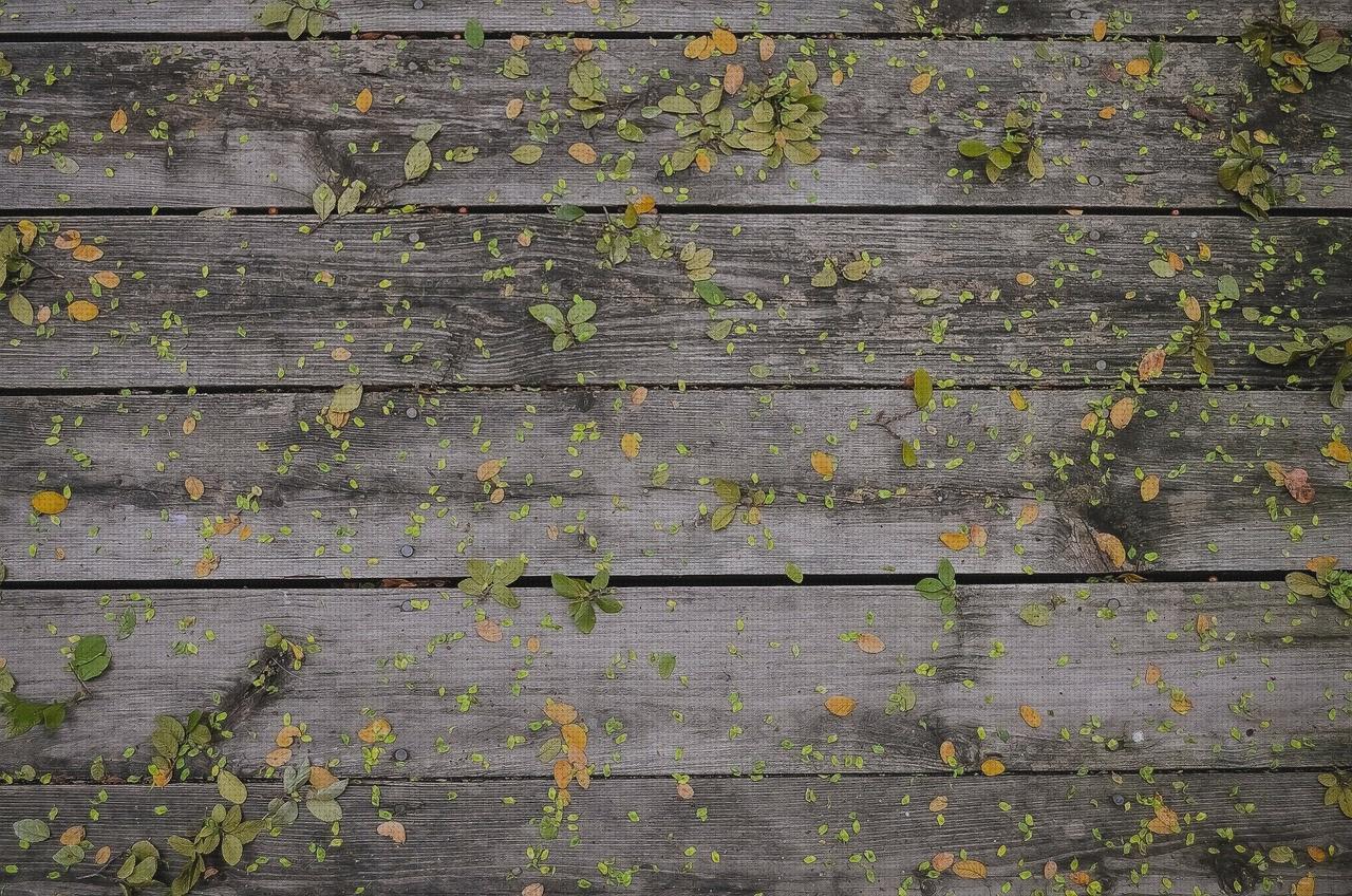 Las mejores marcas de tablones de madera