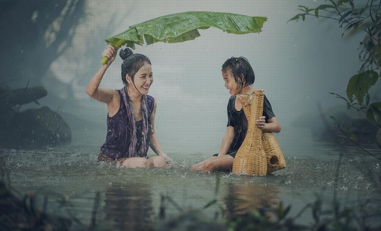 ¿Dónde poder comprar umbrella?