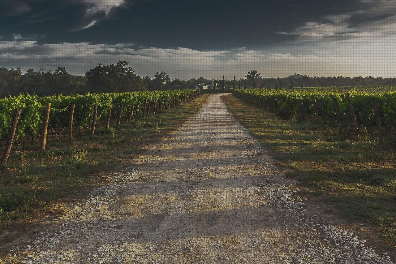 Las mejores vinos vinos por internet